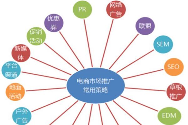 SEO新手必看：上海優化公司的實用建議